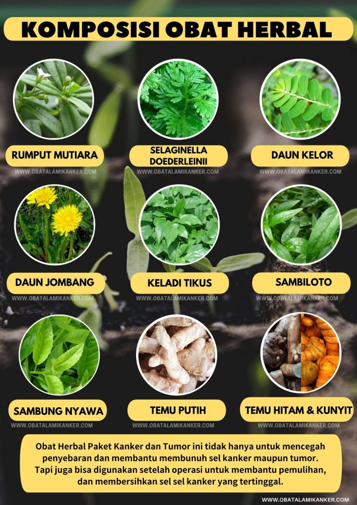 tanaman untuk komposisi herbal kanker alami